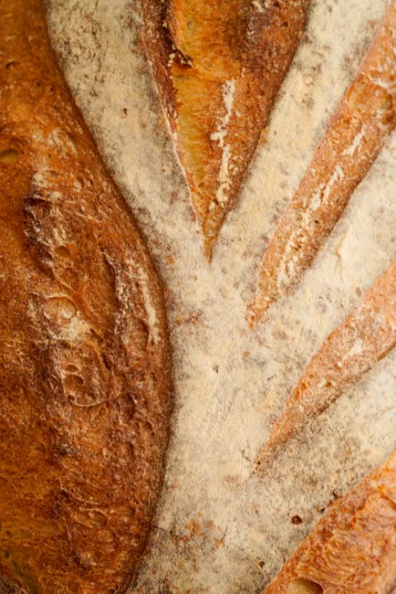 Croissant (unid.)